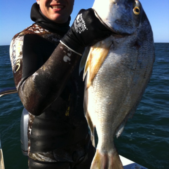 World record King Bream Soldier
